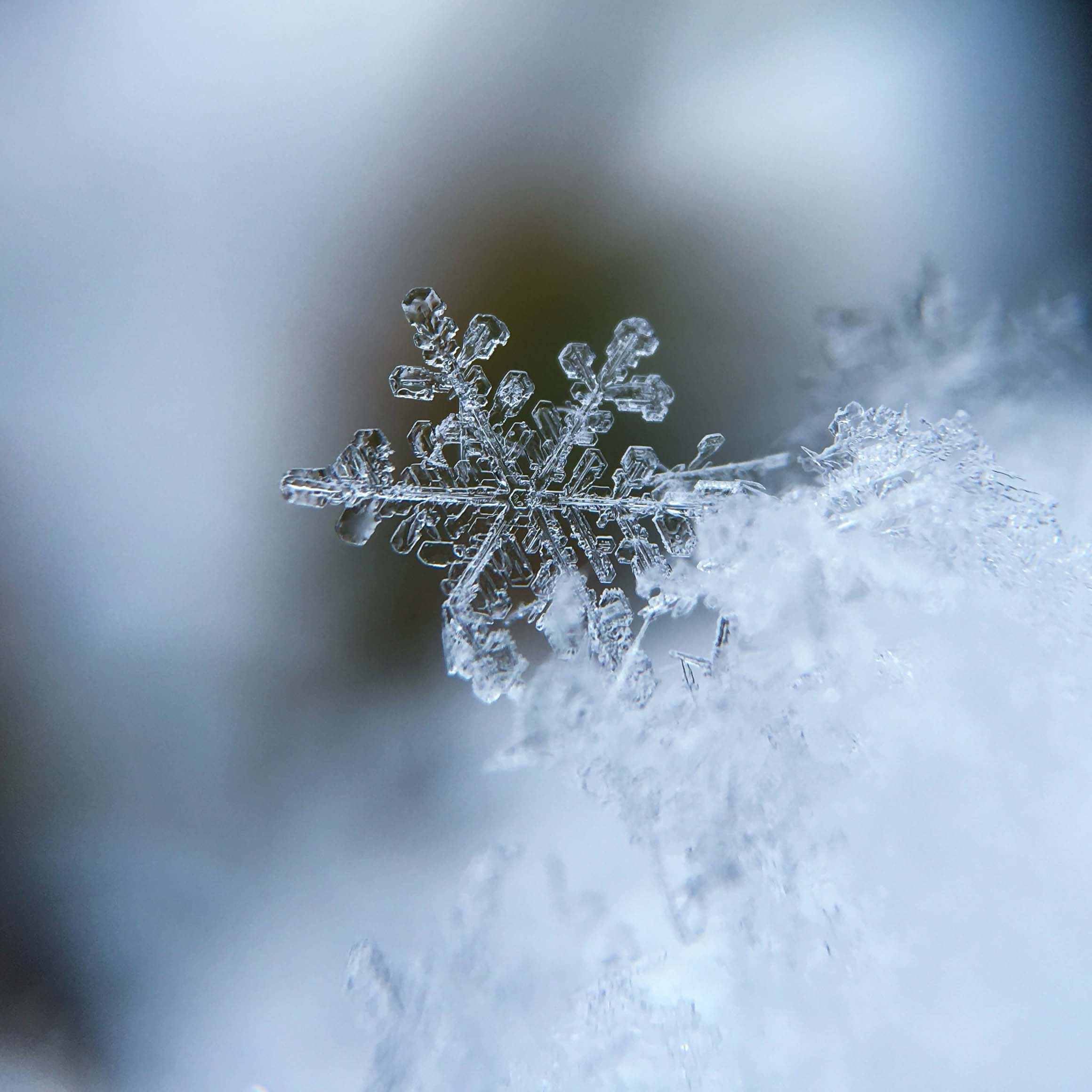 snowflake
